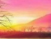 Дмитрий Карабаджак | Ладыжин