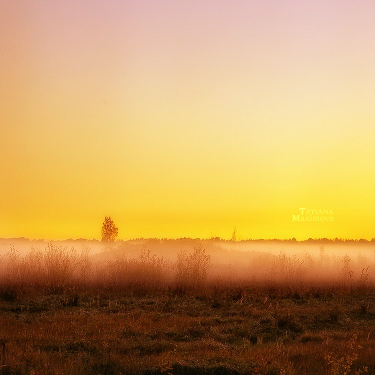 Татьяна Максимова | Великий Новгород