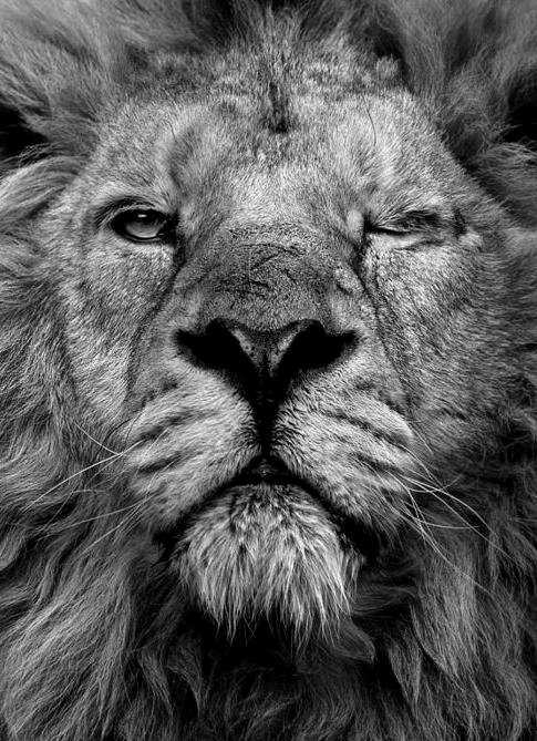 Aleksey Chizhoff | Архангельск