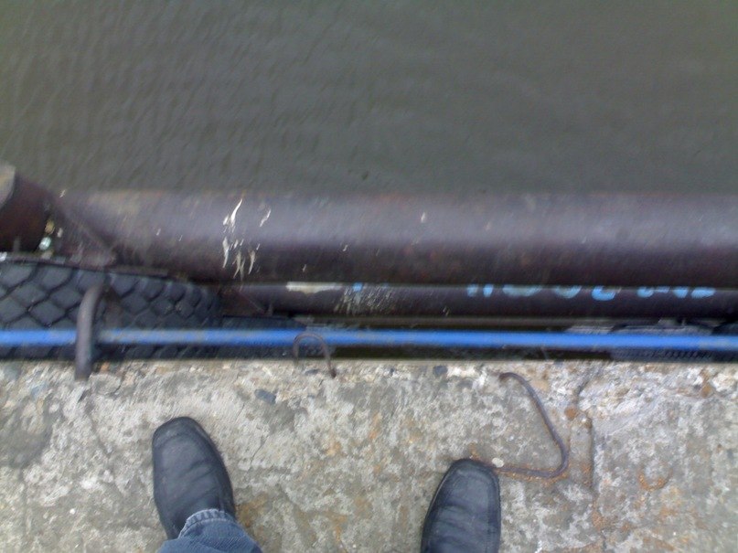 Дмитрий Ильин | Новосибирск