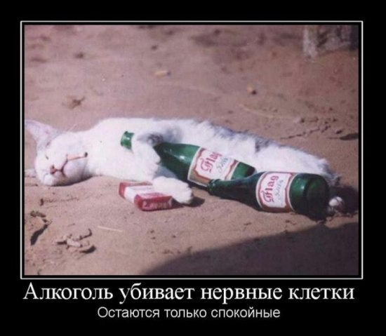 №148, Денис Балканский, 34 года, Москва, Россия №148, Денис Балканский, 34 года, Москва, Россия