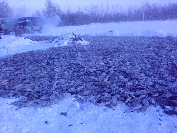 №45, Семен Кондаков, Якутск №45, Семен Кондаков, Якутск