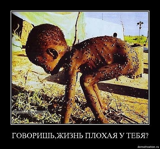 Максим Пинчак | 