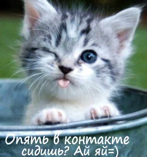 Сергей Хурматулин | Екатеринбург