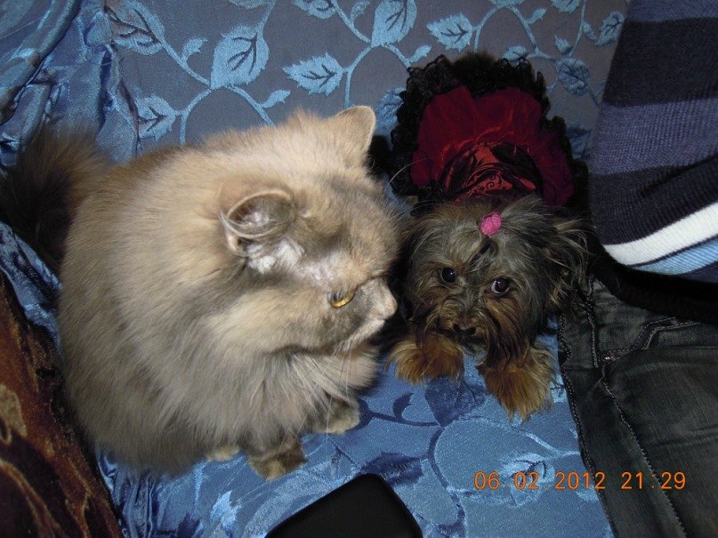 Татьяна Куклина | 