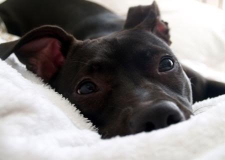 Миша Остроушко | Киев