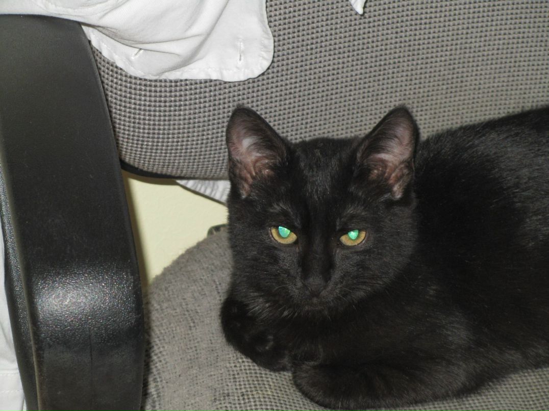 Евгения Ужанская | Киев