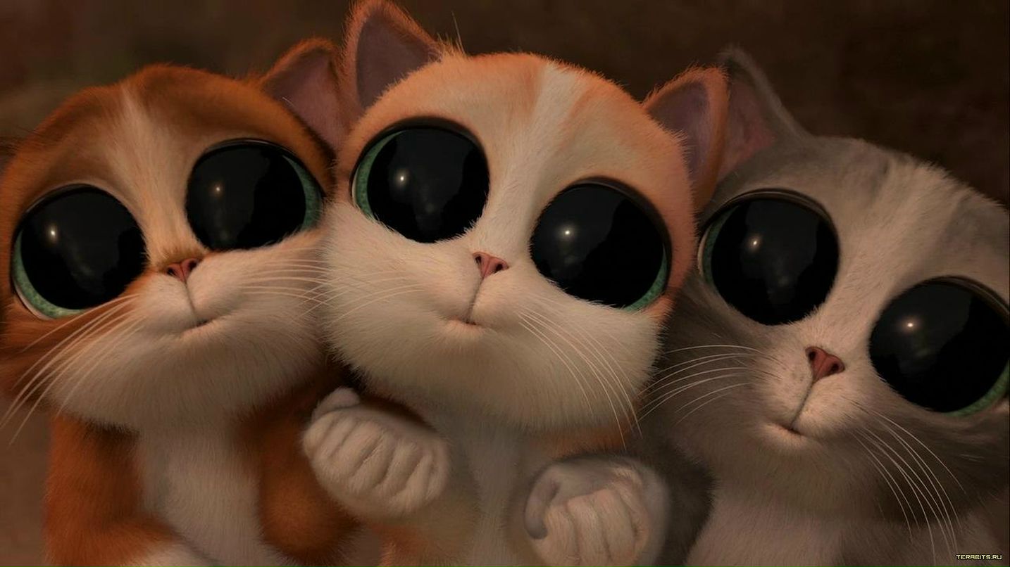 Булат Кадыйров | Актаныш