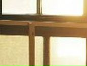 Алёна Алексеева | Новосокольники