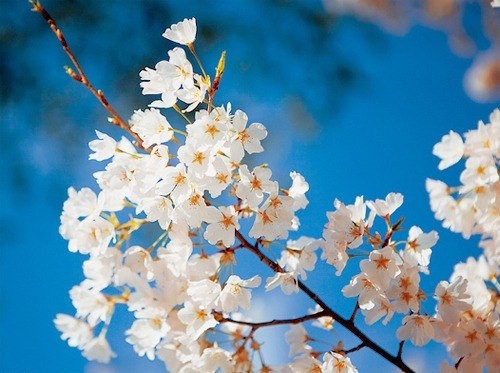 Ольга Колотева | Воронеж