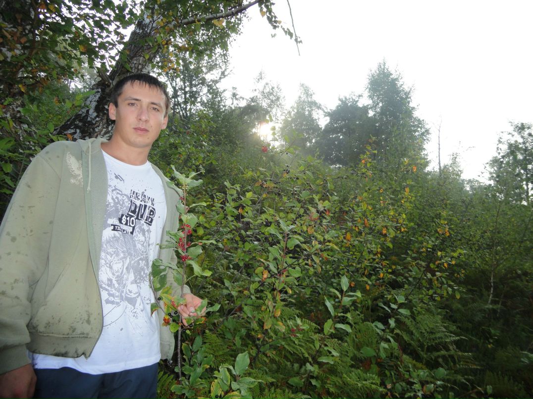 Алексей Бачмага | Симферополь