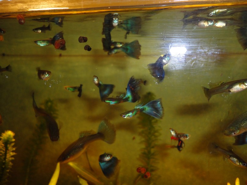 Паша Громов | Москва