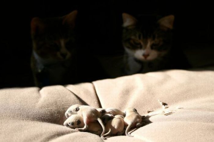 Денис Иванов | Волгоград