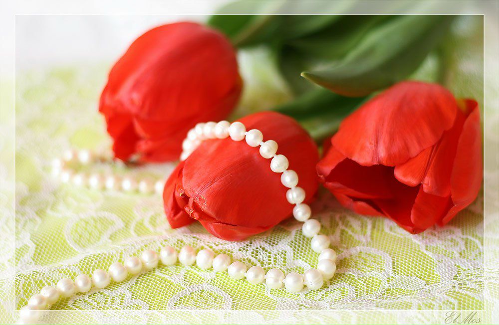 Анна Тарасова | Санкт-Петербург