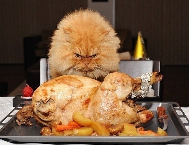 Надежда Хардиман *ВИЗАЖ* | Новосибирск