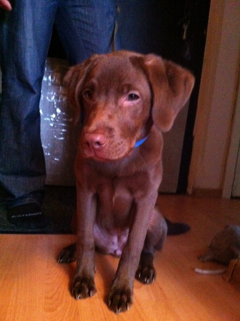 Сергей Грязнов | Москва