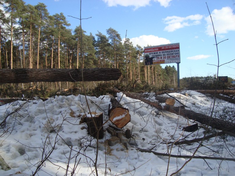 God_весть_ What | Йыхви