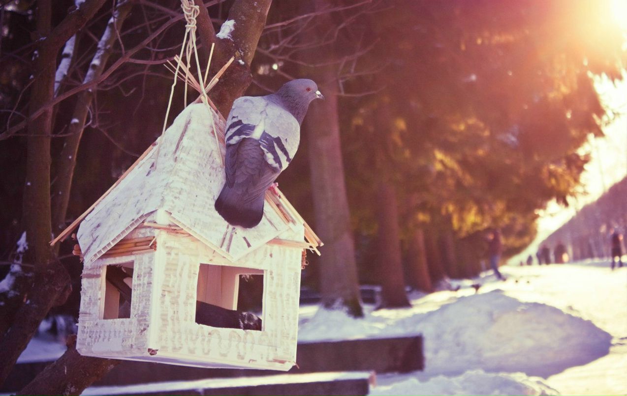 Анастасия Бульбанович | Санкт-Петербург