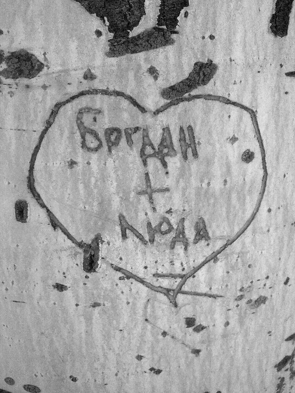 Богдан Гребенник | Керчь