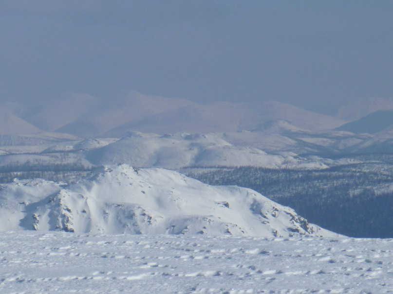 Евгений Кузнецов | 