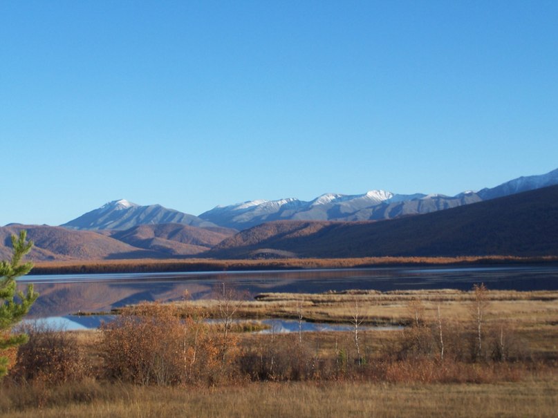 Павел Серкин | Кумора