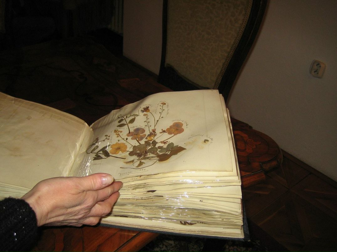 Ирина Андреева | Санкт-Петербург