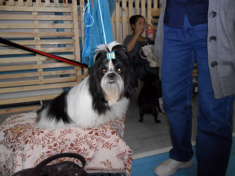 Надежда Литвинова | Якутск