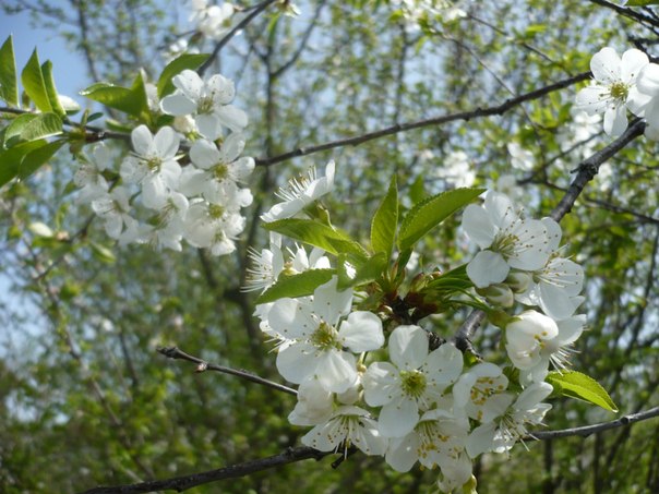 №24, Сергей Жильцов, 36 лет, Тимирязева №24, Сергей Жильцов, 36 лет, Тимирязева