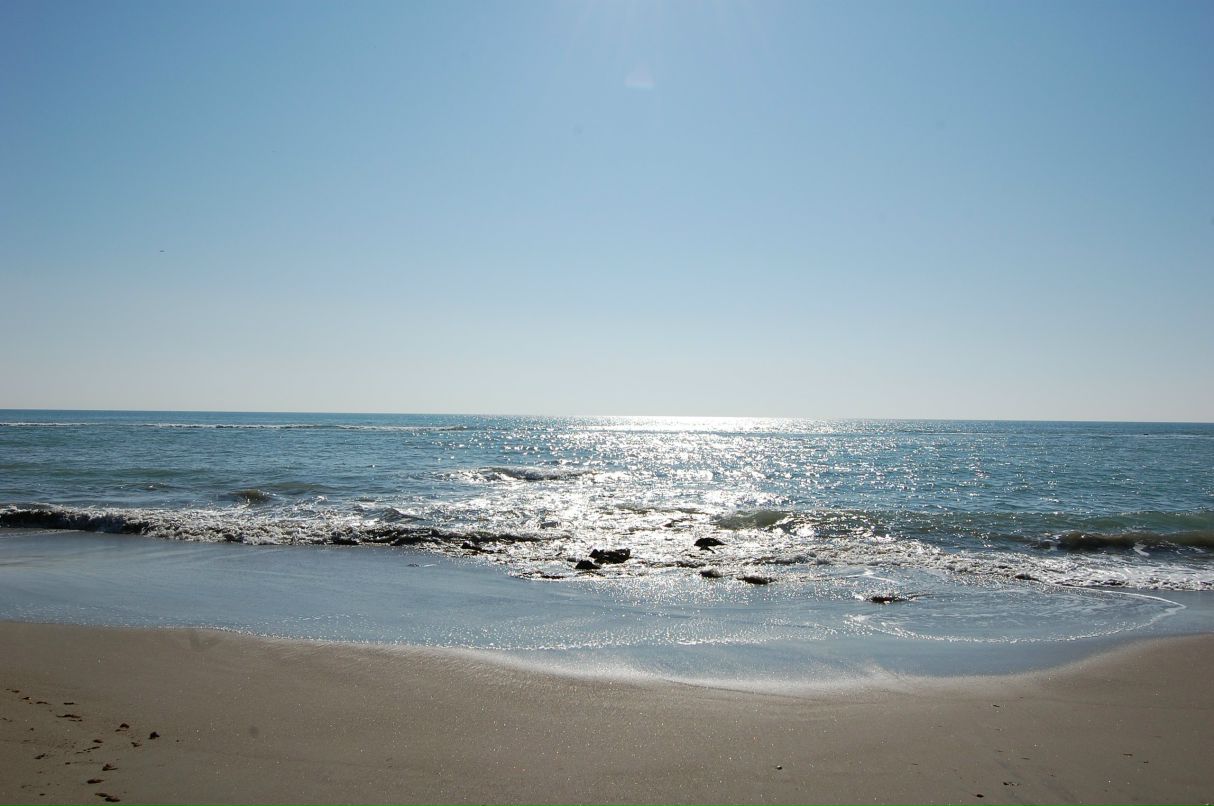 Ирина Щукина | Санкт-Петербург