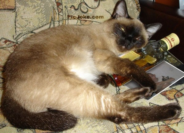 №20, Евгения Сведенцева №20, Евгения Сведенцева