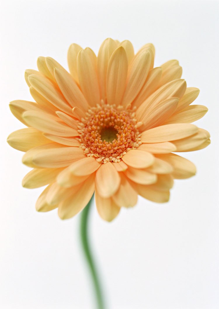 Наталия Коробицина | Омск