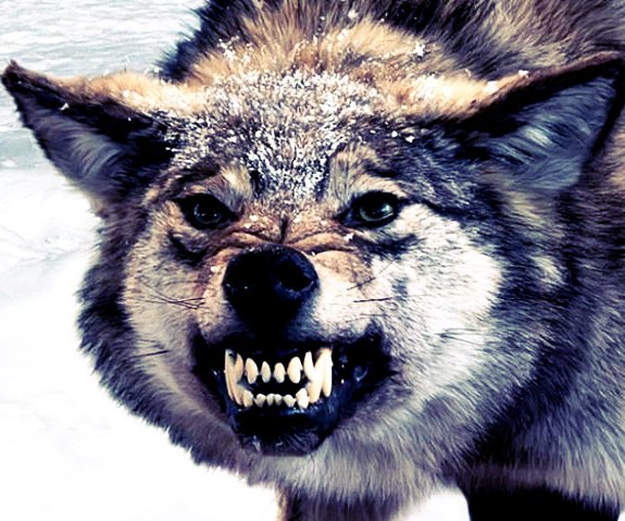 Илья Суламанидзе ♣ | 