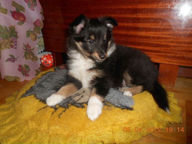 Анастасия Сергеева | Ижевск