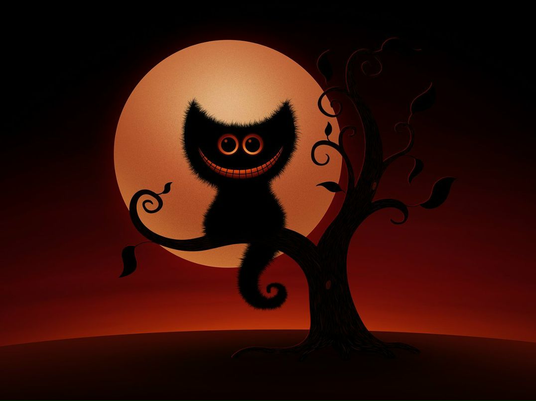 Анастасия Чечётка 