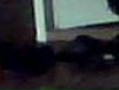 Нарзулло Азизов ღ٠•●LoVe_me●•٠ღ | Харьков