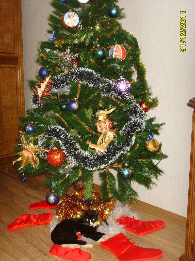 Валерий Пушкинский | Москва