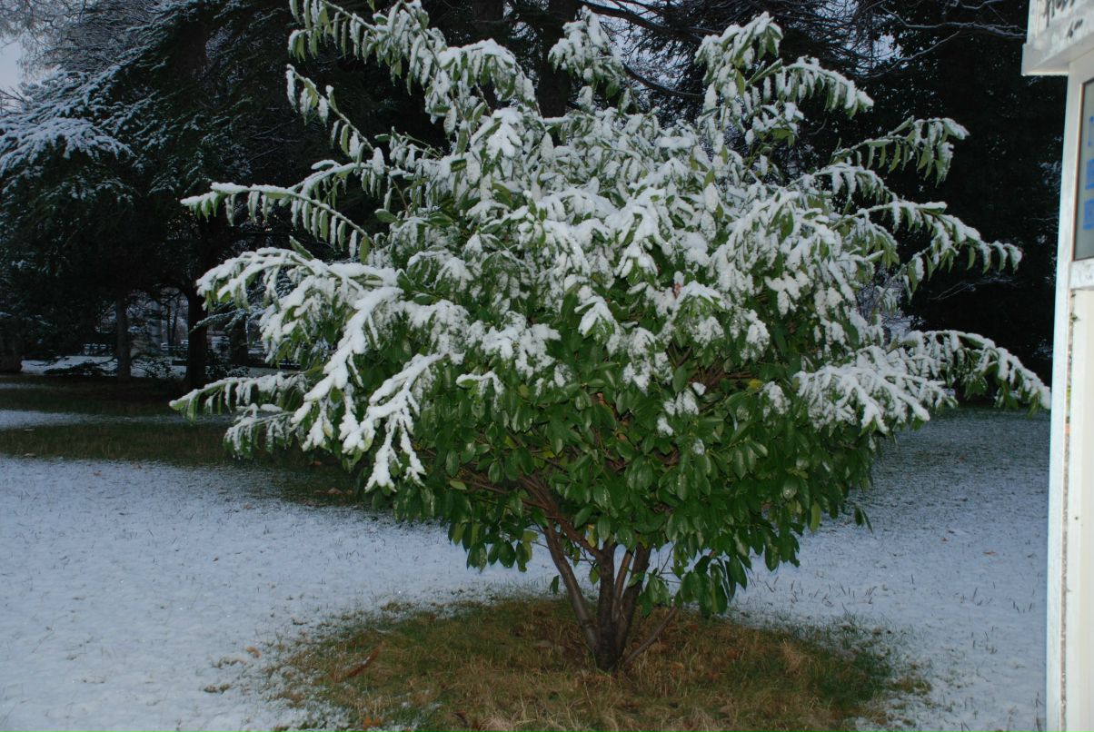 Ксения Акимова | Москва