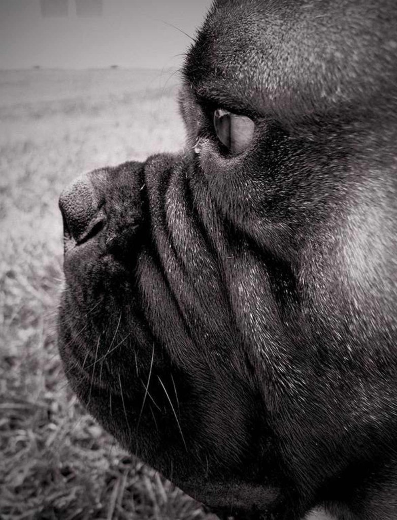 Светлана Матильдовна | Москва