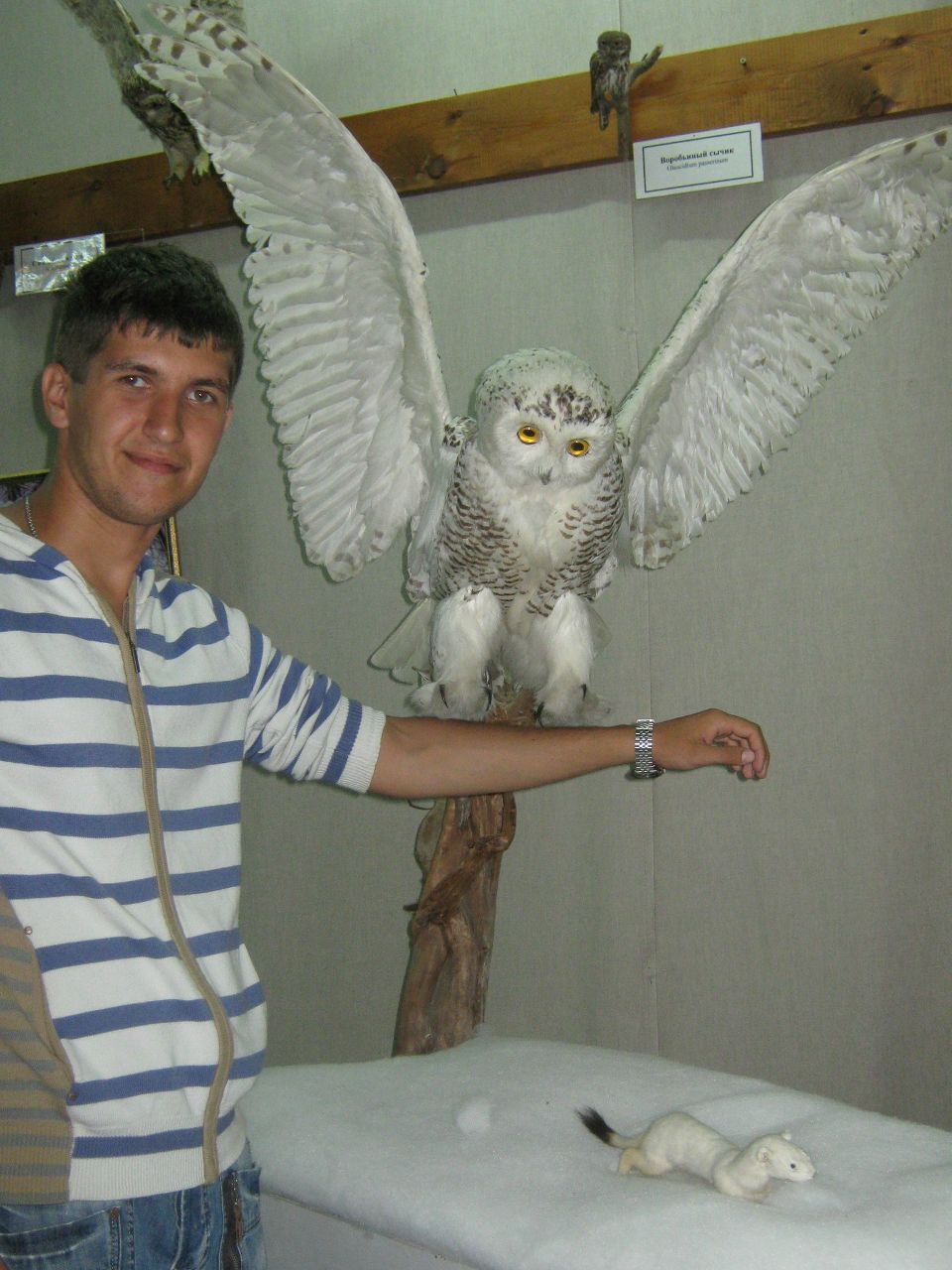 Sergey-Aleksandrovich Gordin ♦♠♥♣ | Санкт-Петербург