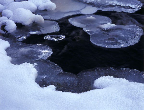 Ирина Казимирова | Протвино