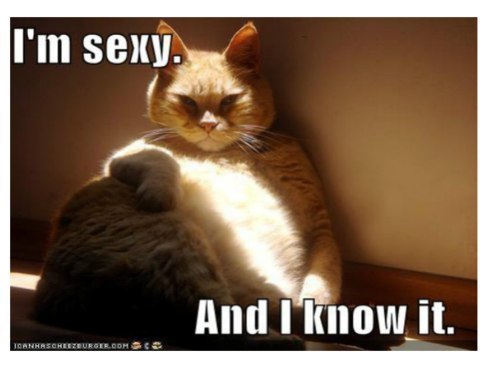 Екатерина Липчанская | Краснодар