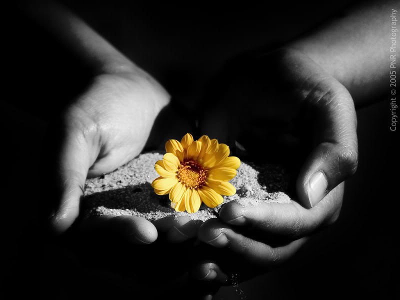 Ирина Башкирова | Москва