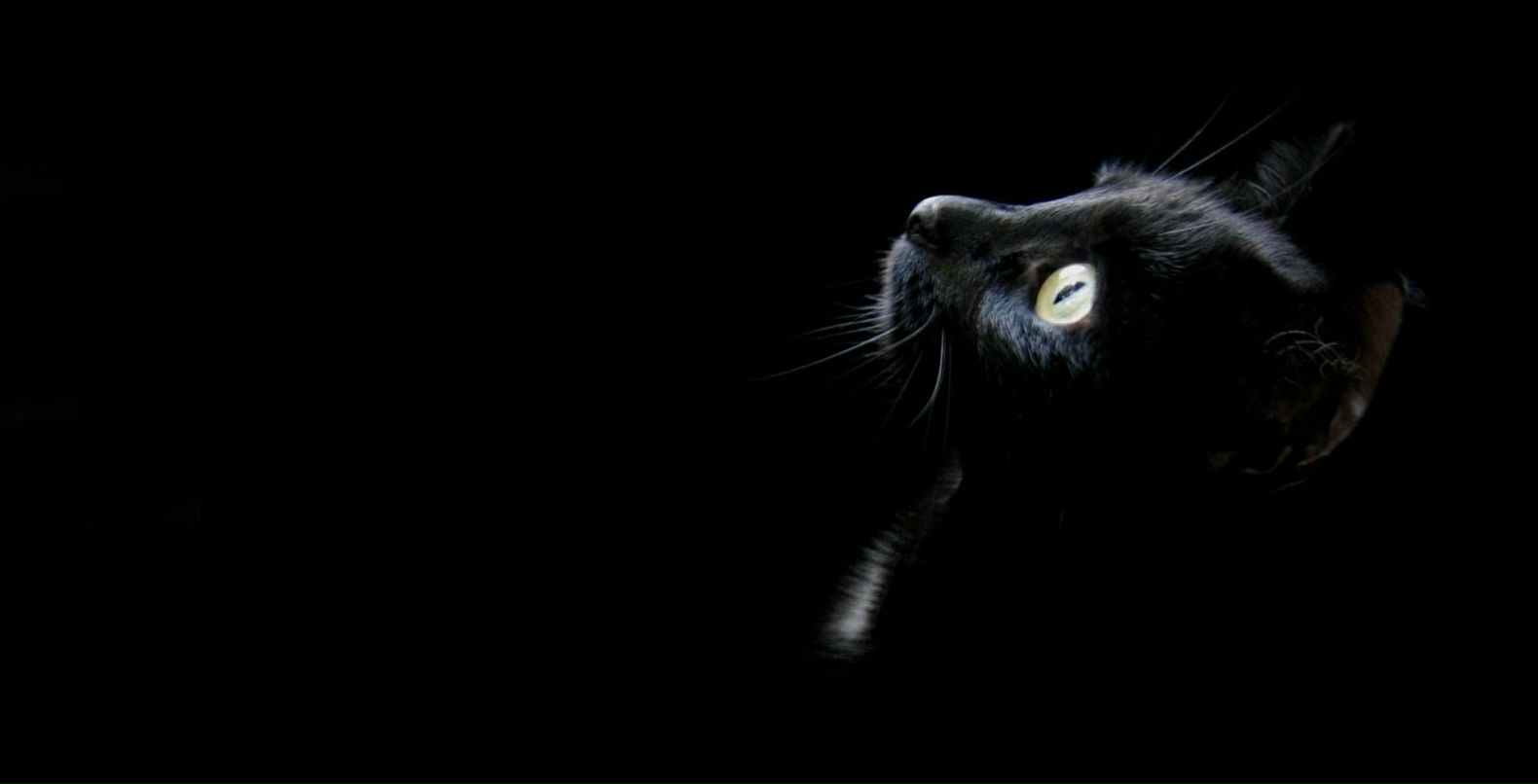 Галина Киблицкая | 