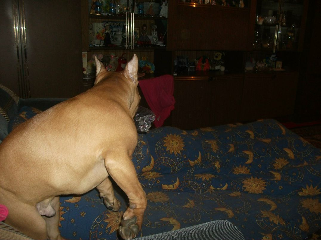 Анна Кондратьева | Екатеринбург