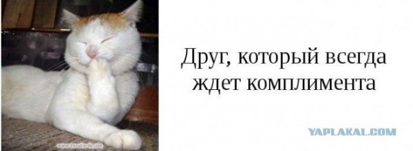 Михаил Волков | Асино