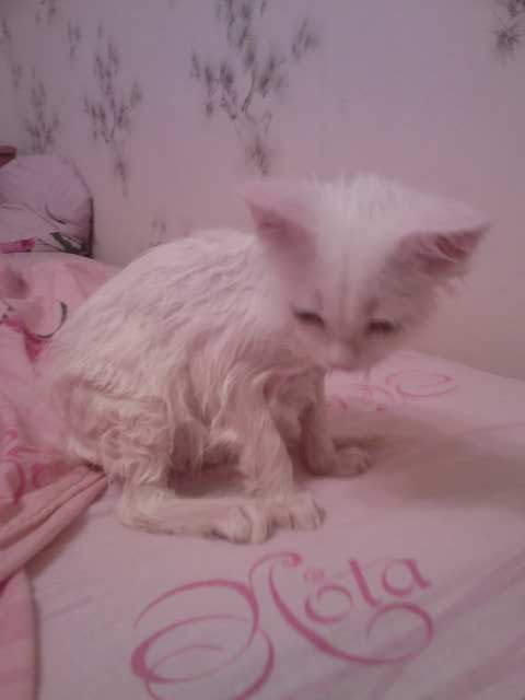 Катюшка Жевагина | 