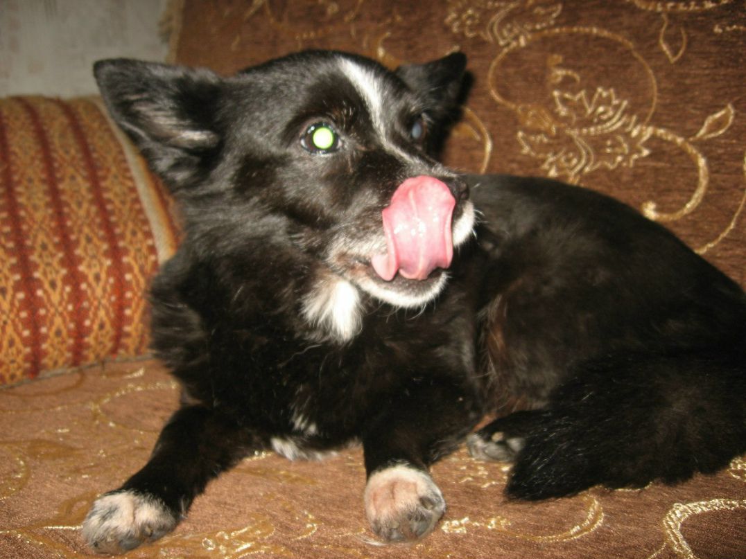 Лидия Струкова | Санкт-Петербург