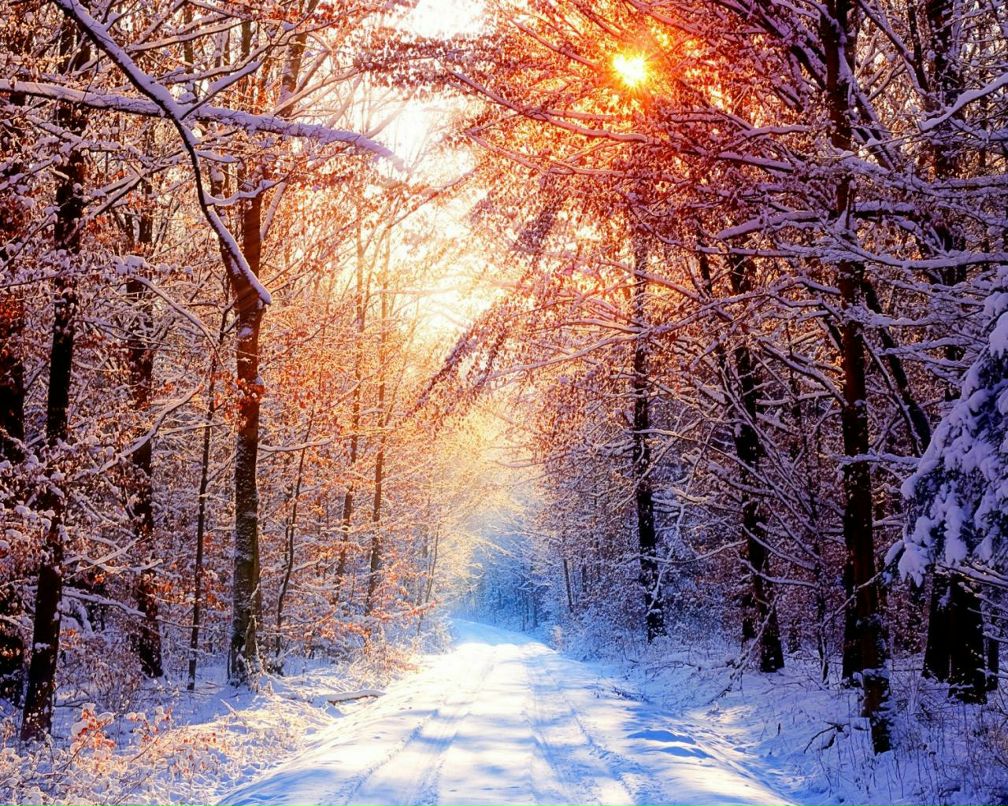 Марина Монахова | Москва