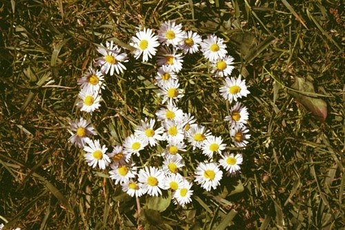 №110, Алёна Харитонова, 33 года, Москва №110, Алёна Харитонова, 33 года, Москва