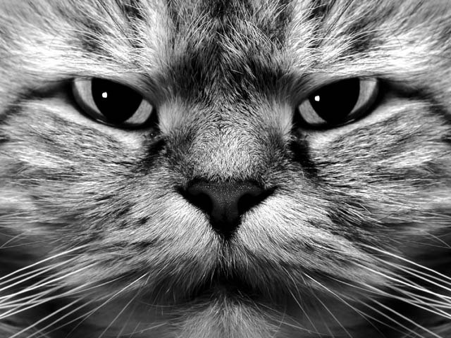 Никита Ишмухаметов Сергеевич | Санкт-Петербург